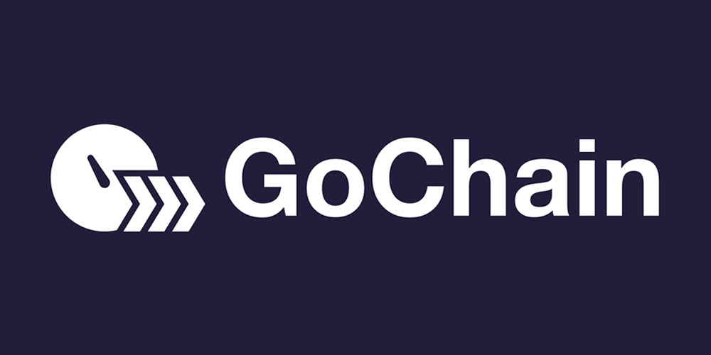 GoChain (GO) ICO Review & Analysis – GoChain Positives & Negatives