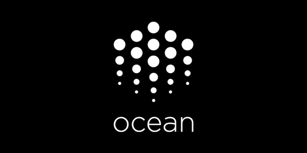ocean protocol review