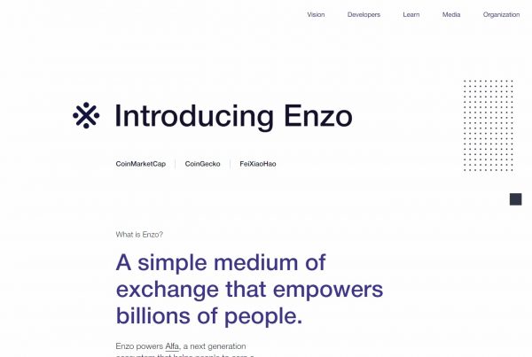 Enzo NZO Wallet