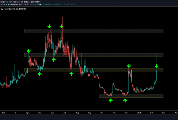 Vite Price Prediction 2020 Technical Analysis