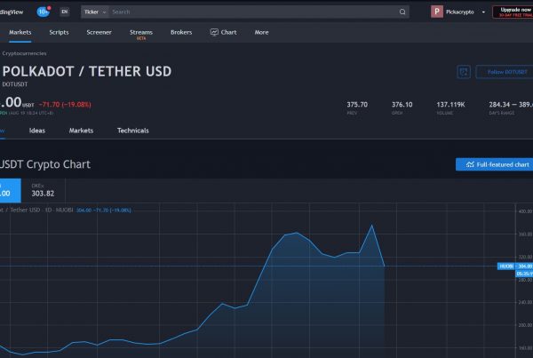 Polkadot DOT Price Prediction Indicators