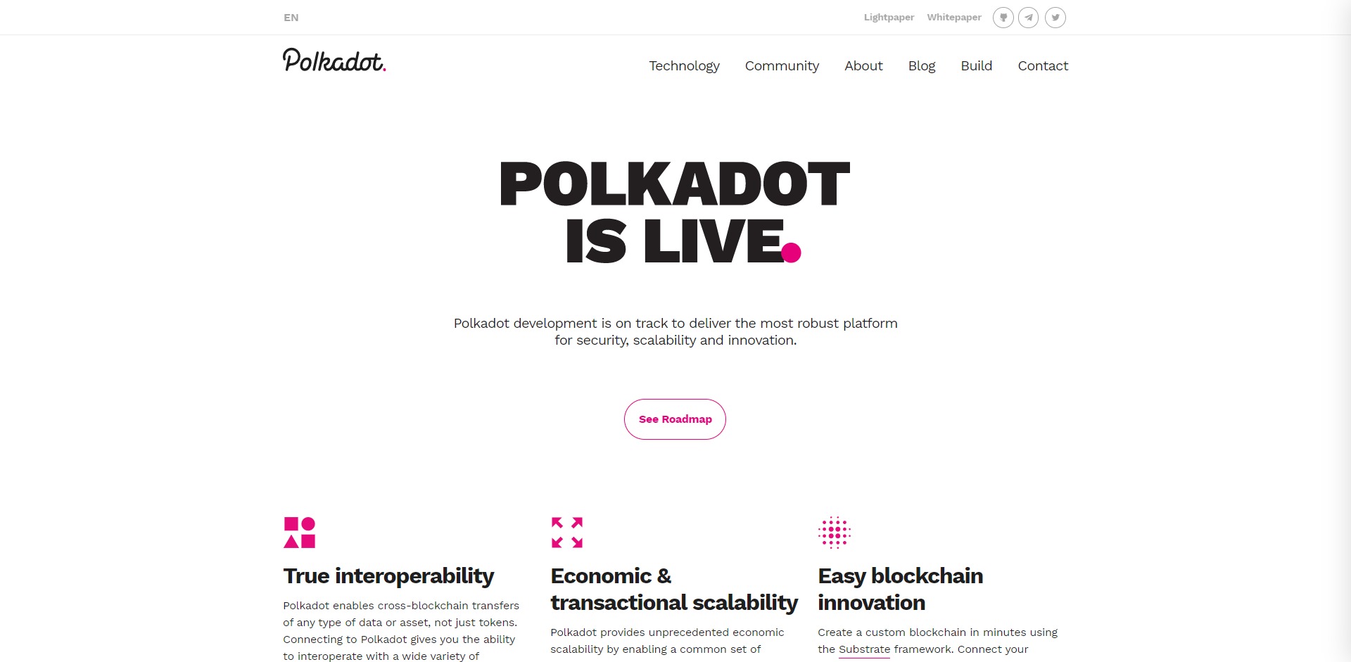 Polkadot DOT Price Prediction Website