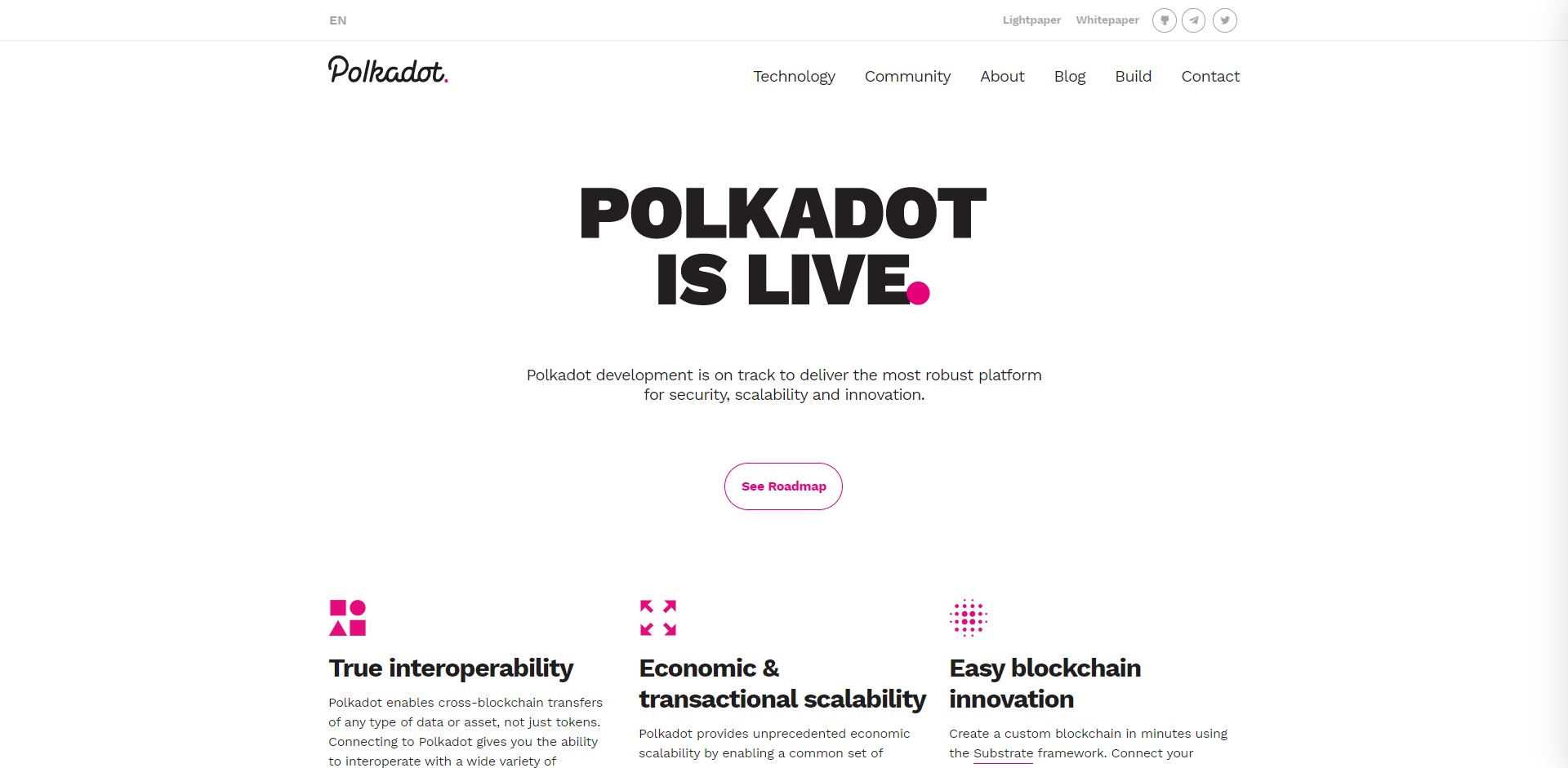 Polkadot DOT Price Prediction Website