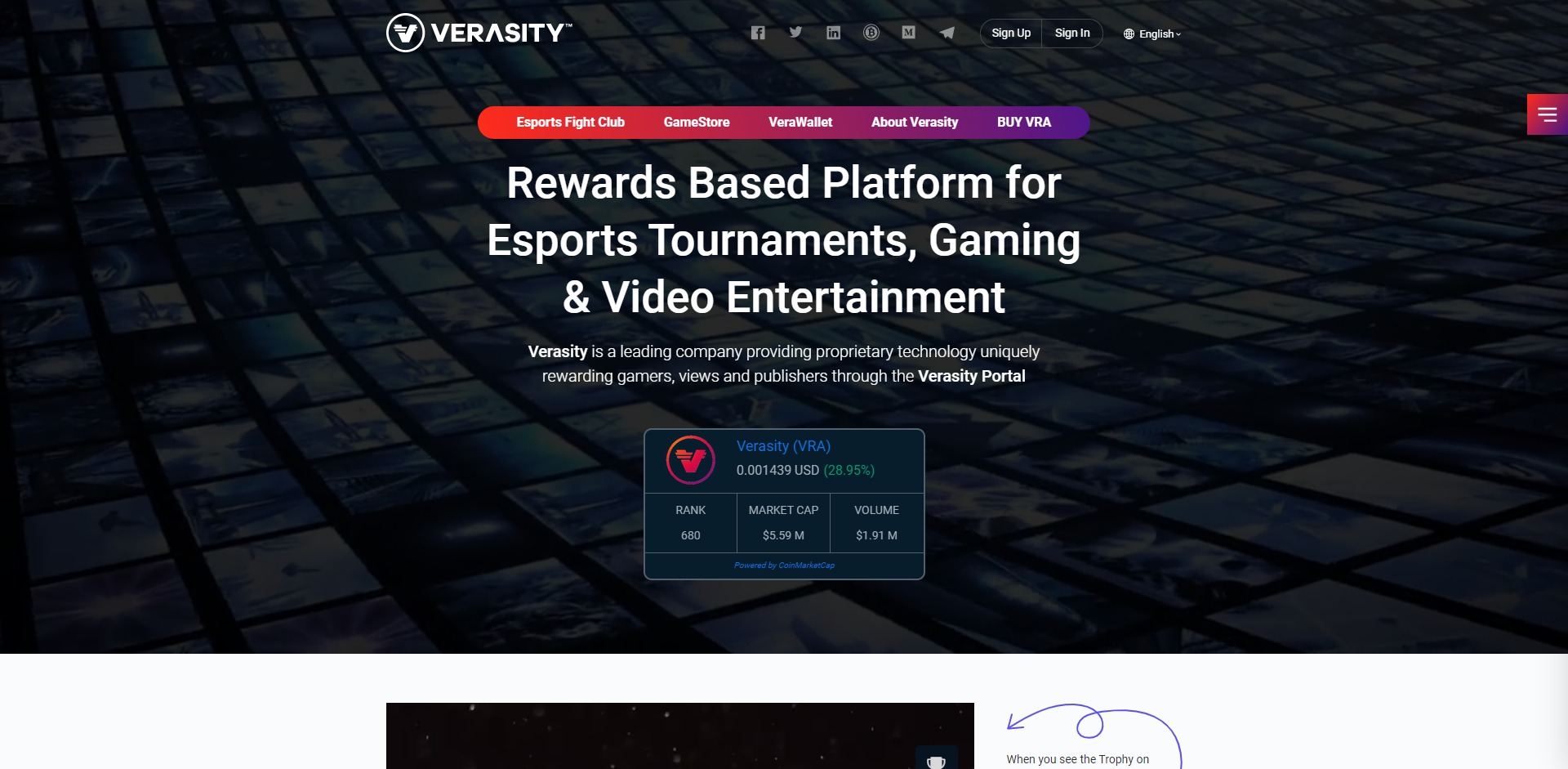 Verasity VRA Price Prediction Website