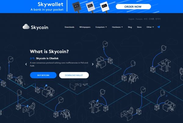 Skycoin SKY Price Prediction Website