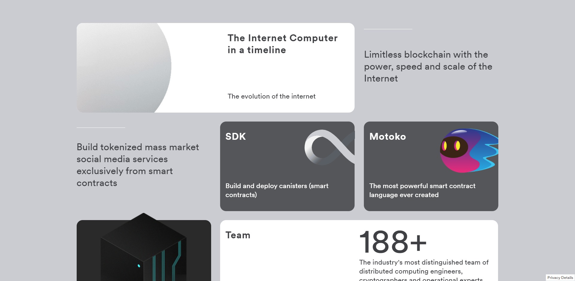 Internet Computer ICP Dfinity Price Prediction Fundamentals