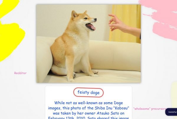 How To Buy Feisty Doge NFT NFD
