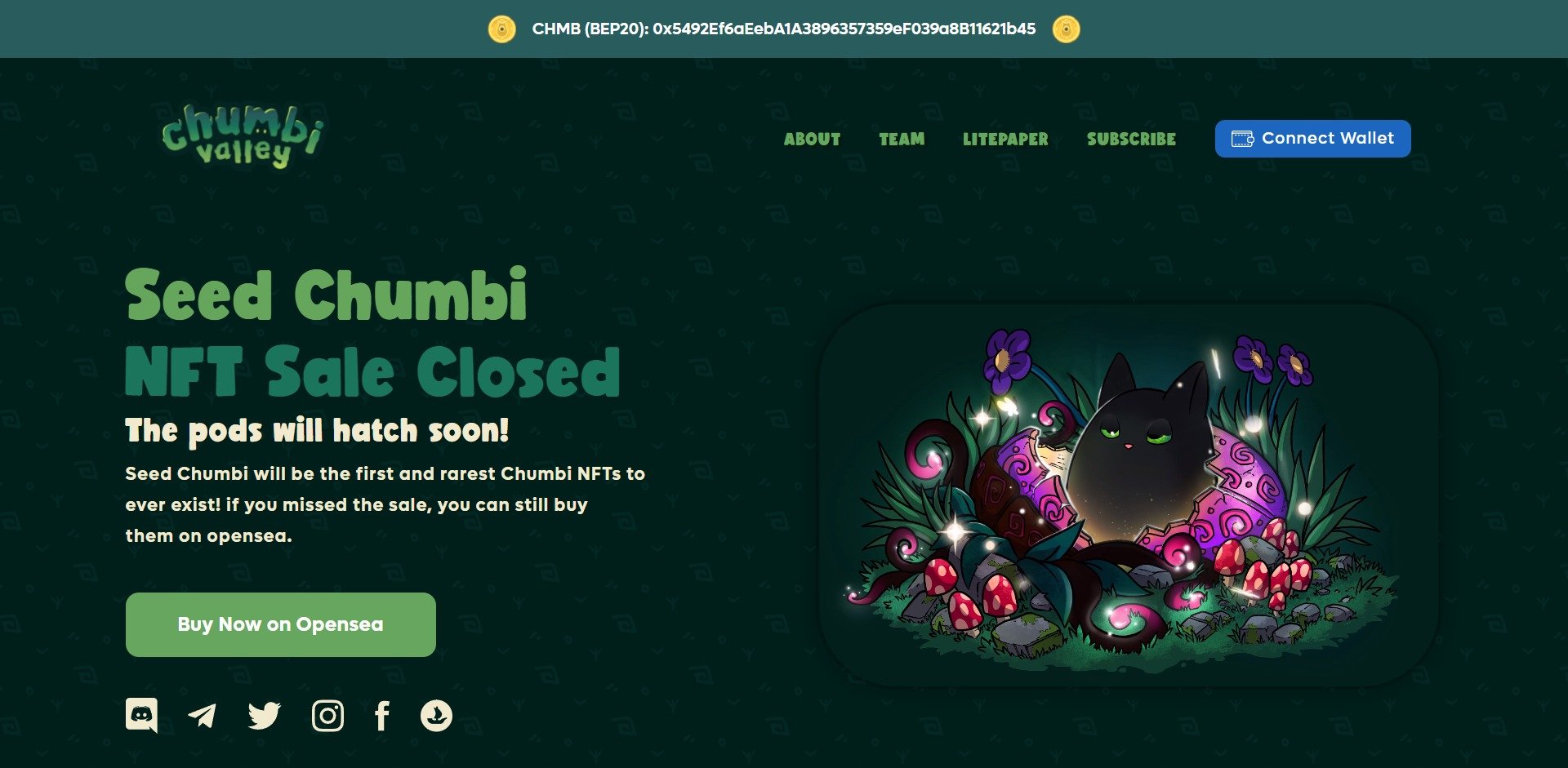 Chumbi Valley CHMB Price Prediction Website